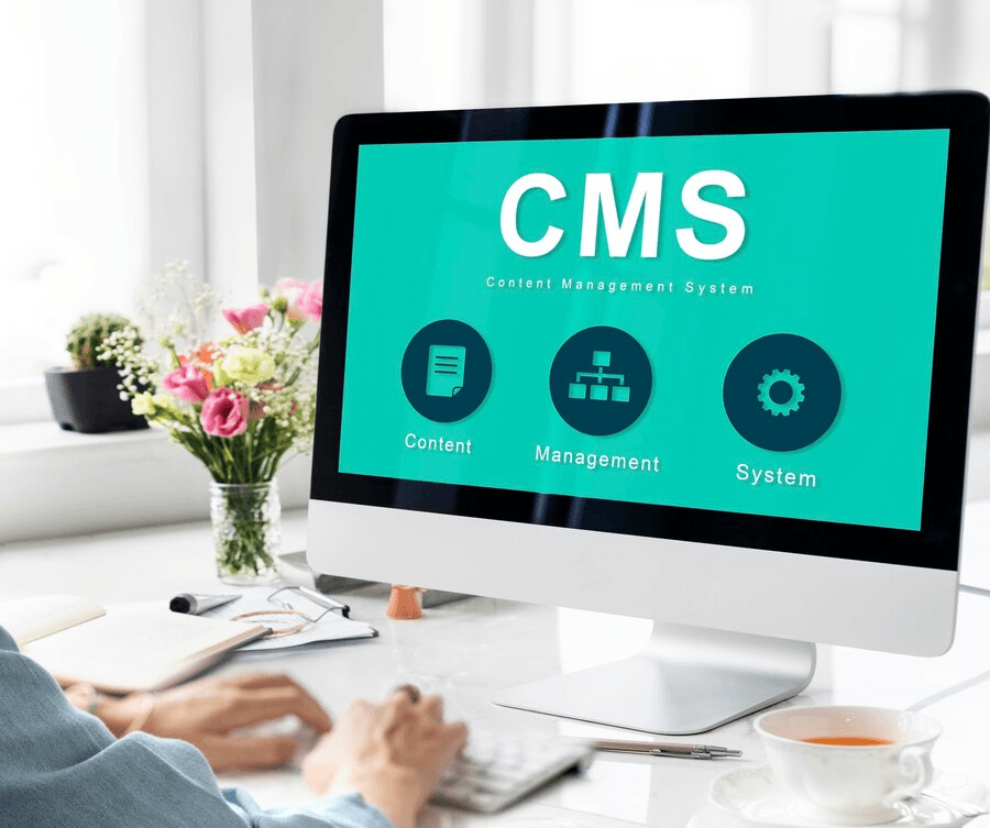 Custom CMS Development
